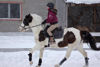 Galop 