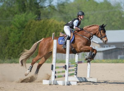Sur mon gros poney en mai 2016. :) 