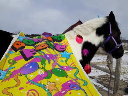 Mon bb fête ses 6 ans aujourd'hui bonne fête petit coeur<3