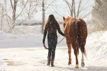 Femme et cheval vus d'en arrière