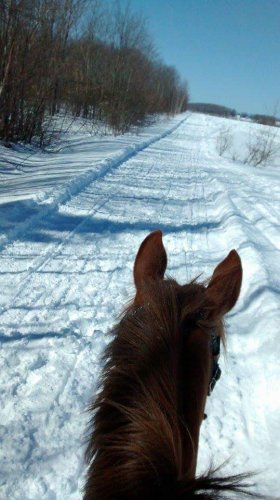 photo par Jess1230
