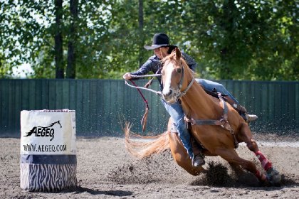compétition gymkhana ST-Honoré