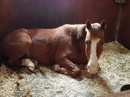 photo par Jess1230