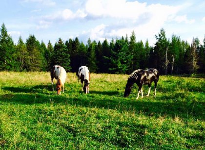 photo par Raphykymm