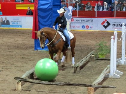 Sur ma jument au salon du cheval 2017 en compé cowboy extrême...