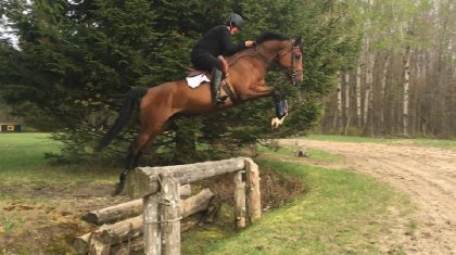 Première sortie en cross depuis cet automne! Et premier...