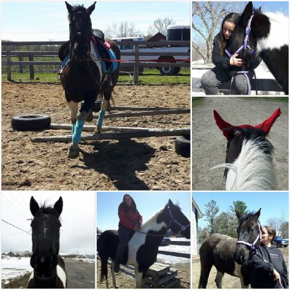 Ma pouliche, la pouliche d'une vie, ce cheval que j'ai le...