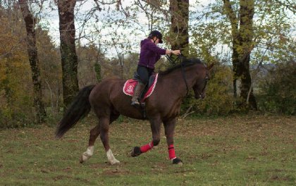 photo par ecurie22