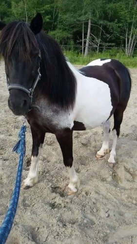 photo par Laurel2010