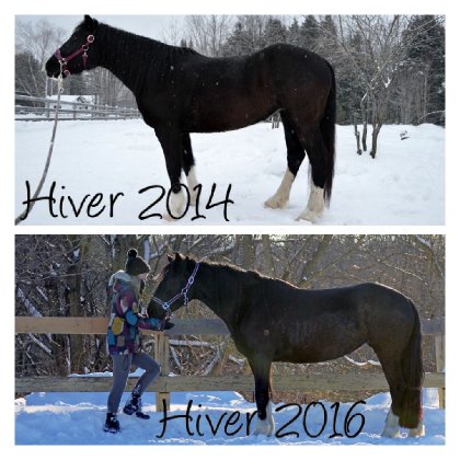 Une belle évolution de la musculature qui c'est fait...