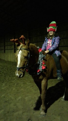 CHEVAL OU RENNE? 