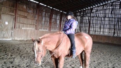 Un cheval fatigué? 