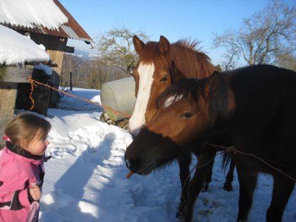pendant 8 ans j'ai eu le grand bonheur de m'occuper de Sandy et...