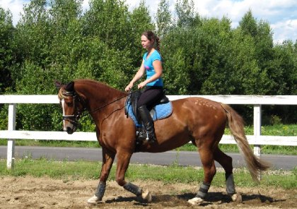 Bon... je me rassis dans ma selle de dressage aujourd'hui,...