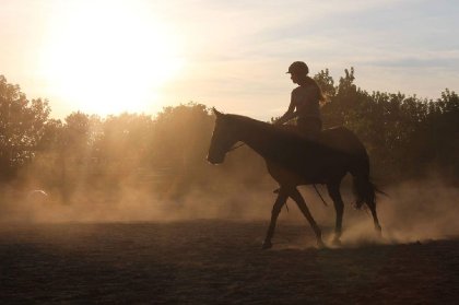 Ma petite nouvelle, monte a cru ce soir ~ Rêver c'est...