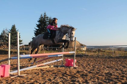 Une ponette en or perdu de vu 