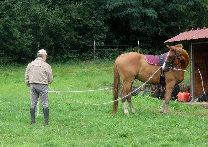 photo par Myhorsez