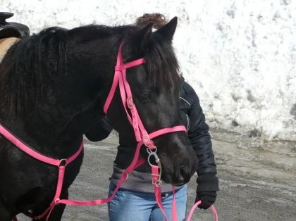 MOn bébé