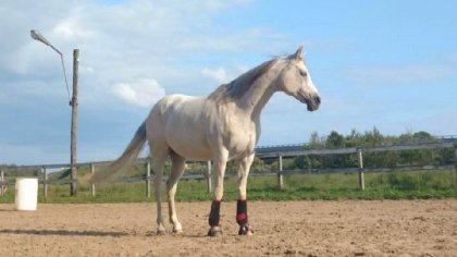 photo par bobino14