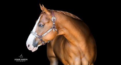serious temptation 4 ans &#9825; 