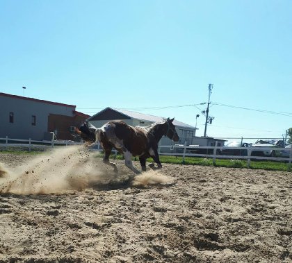 sur le vif <3