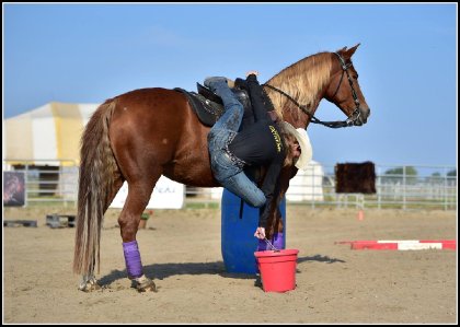 Sur ma jument à la finale Provinciale de Cowboy Extrême, classe...