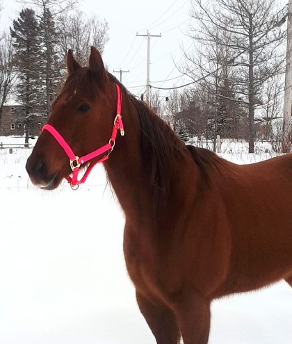 photo par Dash&Style