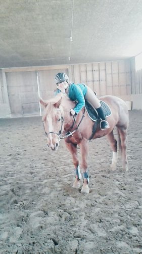 Une fille fière de son coup...Un cheval fatigué!