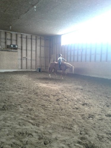 Travail sans selle