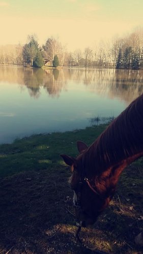 photo par Savana