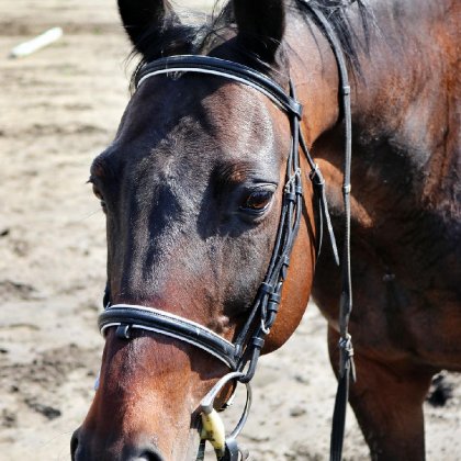 photo par zaza126