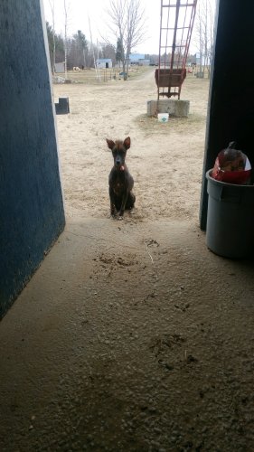 photo par Safira