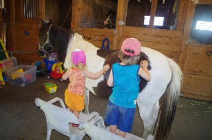 Mes enfants de 1 et 3 ans qui brossent leur poney ! 