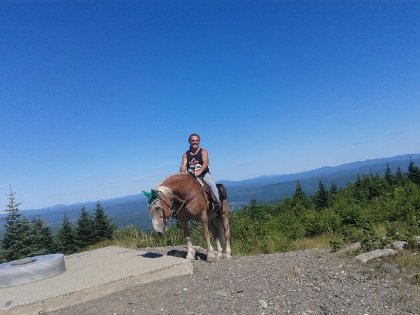 Mont Hereford !