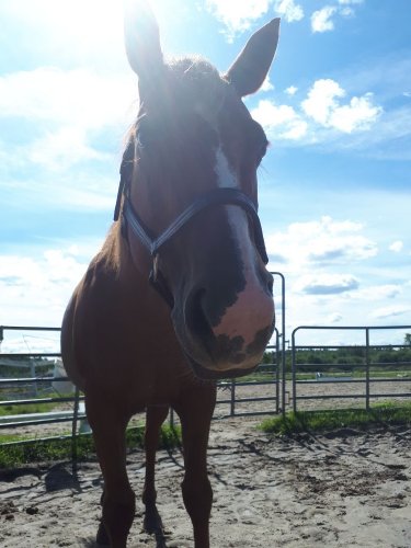 Mon bébé &#128150;&#128150;