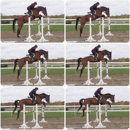 Parce que ce cheval ne cesse de me démontrer à quel point j'ai...