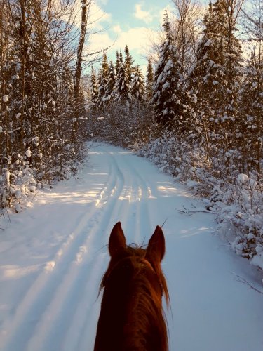 L'hiver est à nos portes dans les Etchemins!