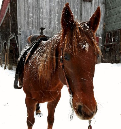 Time for winter trailrides! &#9734;