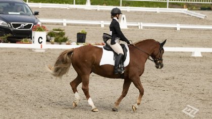 Sur ma jument aux JÉQ 2018. Dressage du concours combiné.