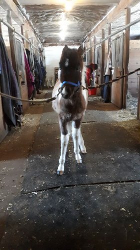 Première fois sur les chaînes pour mon garçom