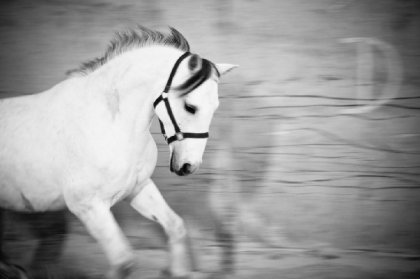 photo par Ju2201