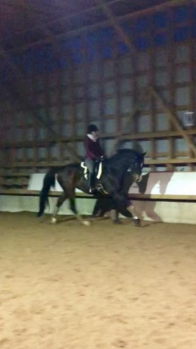 photo par Aureb