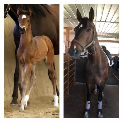 Bébé Galliano et 10 ans plus tard &#10084;&#65039;