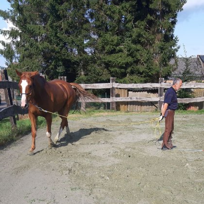 photo par Myhorsez
