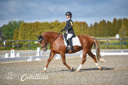 Sur ma jument Brazile en dressage d'épreuves combinées aux JÉQ...