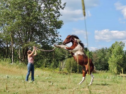 photo par Star313