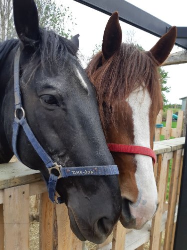 Mes deux gros bb <3<3<3