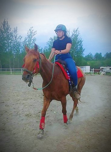 Cavalière western sur cheval brun dans un manège extérieur
