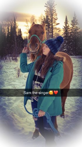 Un cheval en laisse en hiver