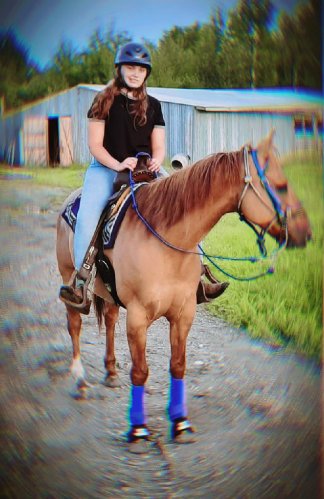 Cavalière western a cheval devant une grange